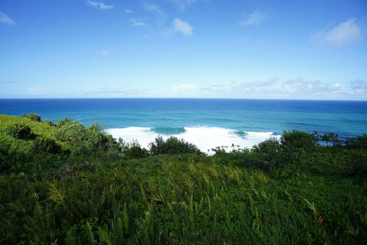 Alii Kai Resort #5102 普林斯维尔 0*,  美国